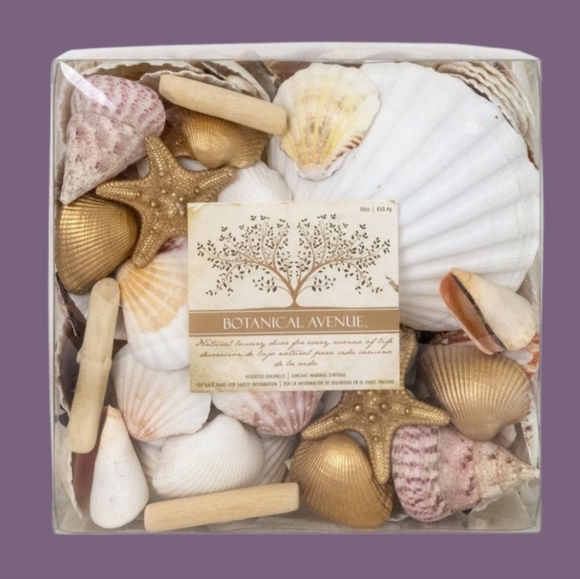 NIB BOTANICAL AVENUE DECORATIVE VASE FILLER W/NATURAL SEASHELLS AND GOLD ACCENTS - Picture 1 of 6